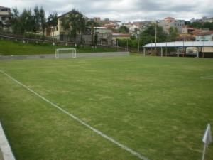 Campos de grama natural